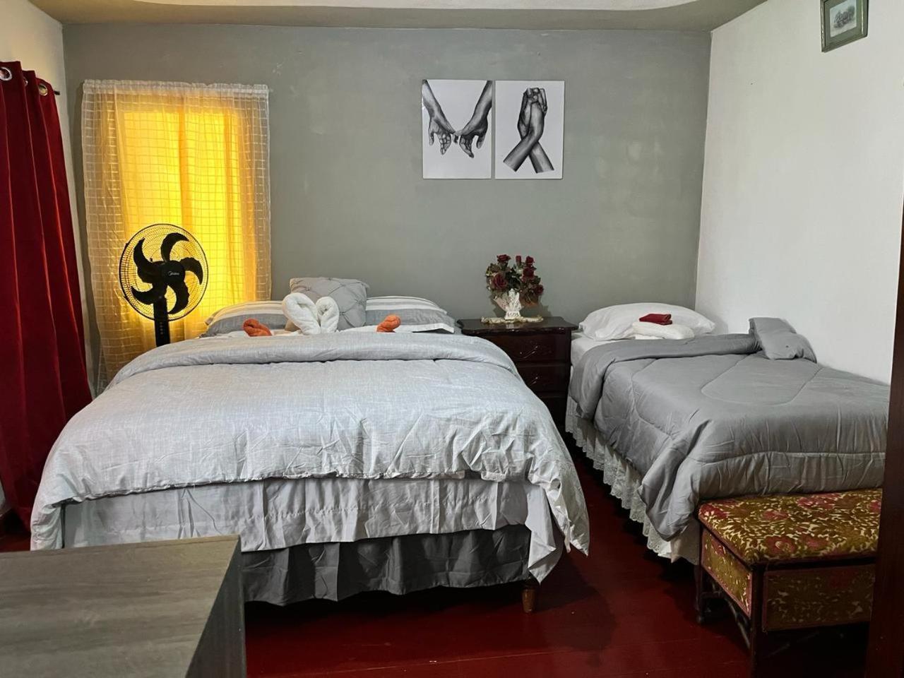 Nine Miles Cultural Hangouts And Tours Stepney Ngoại thất bức ảnh