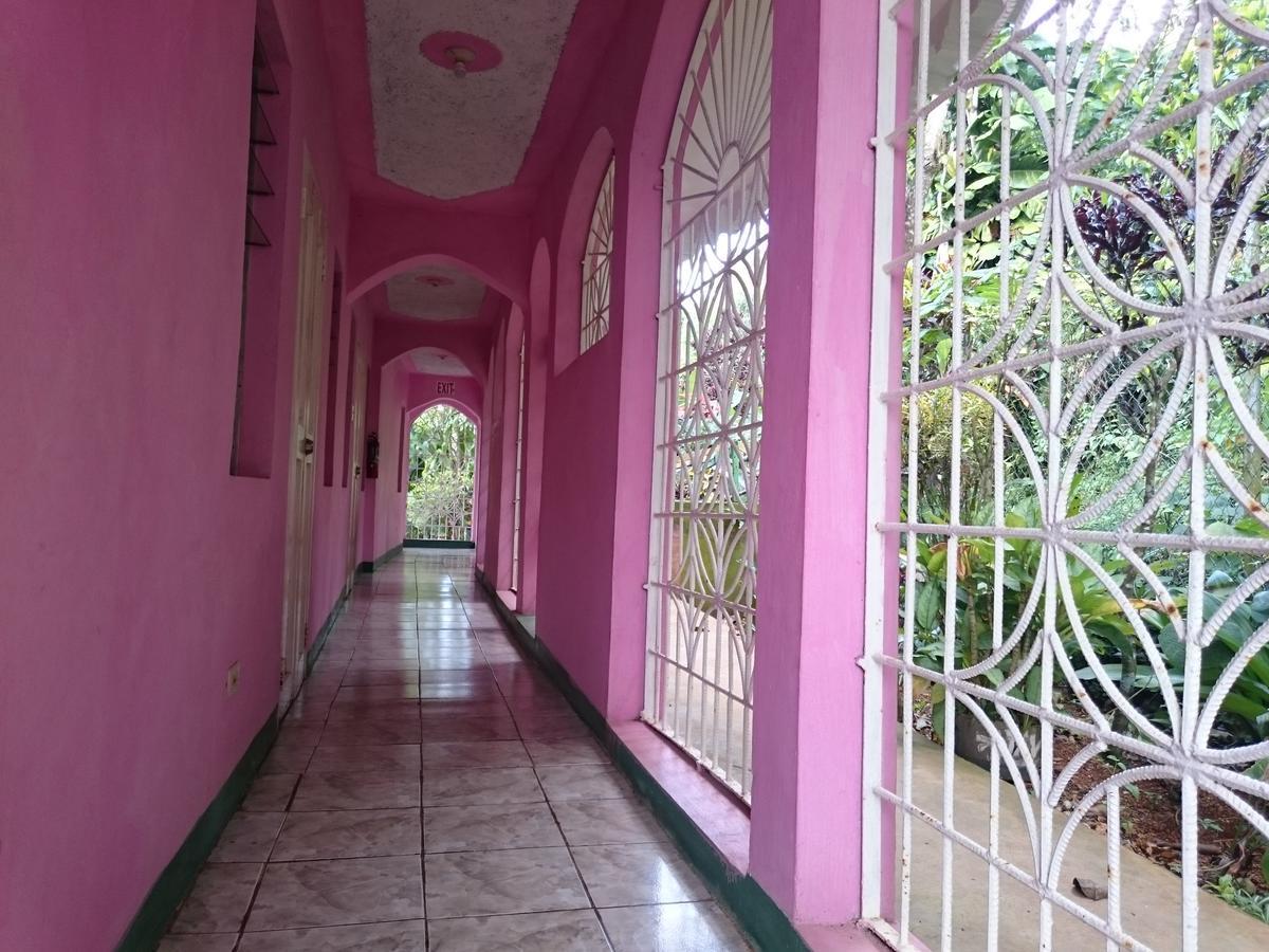 Nine Miles Cultural Hangouts And Tours Stepney Ngoại thất bức ảnh